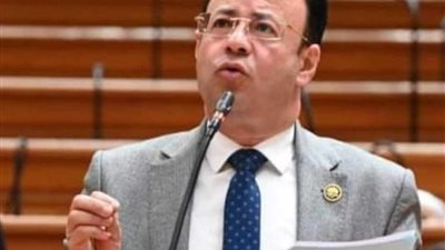 نائب بمناقشات مزاولة مهنة الصيدلة: يجب مواجهة سلاسل الصيدليات ووضع حد للأزمة