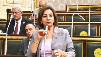طلب إحاطة جديد للحكومة بخصوص تزايد شكاوى المواطنين من إنتشار   أنواع البنزين المغشوش