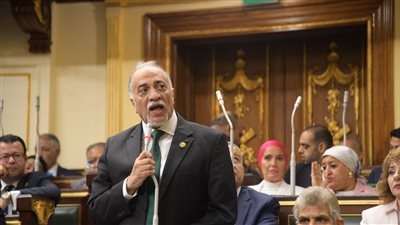 القصبي بمناقشات الحساب الختامي: الحرب التجارية العالمية ألقت بتداعيتها على الاقتصاد المصري.. والضرائب زادت دون رسوم جديد وهذا مؤشر جيد