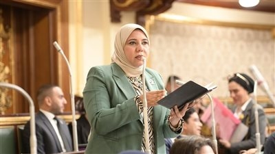 نائبة التنسيقية هيام الطباخ توافق على منحة لتخفيض انبعاثات الميثان وتؤكد أهميتها في مواجهة التغيرات المناخية