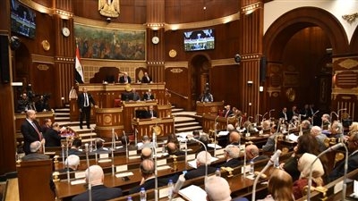 النائب مجد الدين بركات يستعرض طلب مناقشة لاستيضاح سياسة الحكومة بشأن استغلال وادى السيليكون المصري