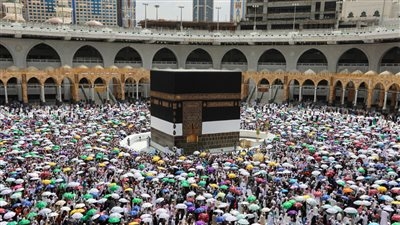 ضد شركة سياحية غير مرخصة تستولي على أموال المواطنين في رحلات حج وعمرة وهمية