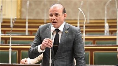 النائب عمرو القطامي يوافق على الحساب الختامي 2024: الحكومة حمت الشعب