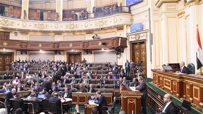 الأسبوع المقبل.. البرلمان يناقش اقتراح النائبة مي عمر بشأن تشجيع وزارتي الصناعة والاستثمار لمشروعات تدوير المخلفات