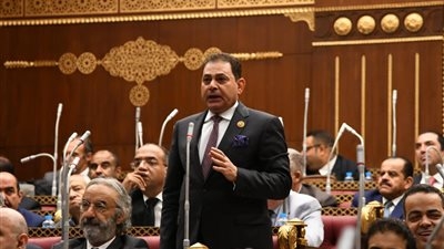 النائب فرج فتحي يطالب الحكومة بتطوير منظومة الجمارك وتعزيز التكامل الرقمي لتسهيل التجارة وحماية الاقتصاد الوطني