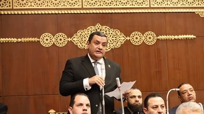 أكمل نجاتي يطالب بتحديد جدول زمني لتطوير النظام الجمركي
