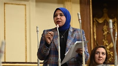 نائبة التنسيقية هيام الطباخ تؤكد أهمية اتفاقيات البحث عن البترول في جذب الاستثمارات الأجنبية وزيادة العملة الصعبة