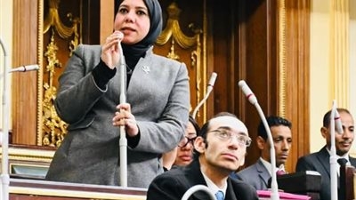 هيام الطباخ نائبة التنسيقية:خط الروبيكى - العاشر من رمضان يسهل نقل البضائع ويقلل النفقات