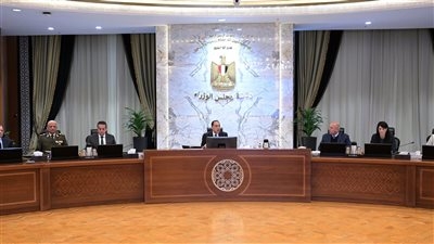 مصر تدافع عن الأمن القومي العربي.. أبرز رسائل مدبولي اليوم حول توجيهات الرئيس "السيسي"