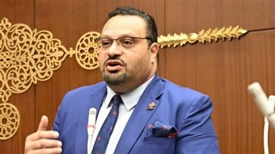 نائب التنسيقية أحمد القناوى : دول كبرى بنت نهضتها بشكل شبه كامل على ريادة الأعمال