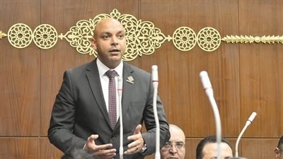 نائب التنسيقية محمود القط: إنجازات مصر في الطاقة النظيفة مصدر فخر.. ويتساءل عن المشروعات المخططة لتنمية سيناء في مجال توليد الطاقة