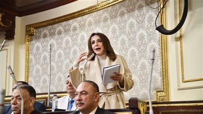 النائبة فاطمة سليم تتقدم بطلب إحاطة بشأن تأثير ارتفاع أسعار الورق والأحبار على قطاعي الثقافة والتعليم