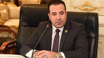 النائب أحمد بدوي: جاري اتخاذ الإجراءات القانونية ضد 11 "بلوجر" جديد  خلال ساعات