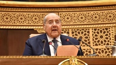 رئيس الشيوخ: بابا الفاتيكان دافع عن أهل غزة
