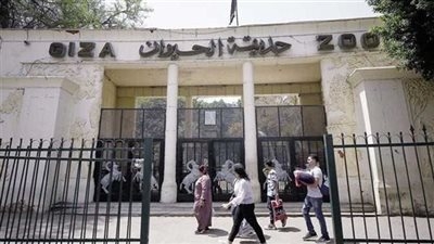 سبتمبر القادم.. موعد افتتاح حديقة الحيوان في الجيزة 2025 بعد عمليات التطوير