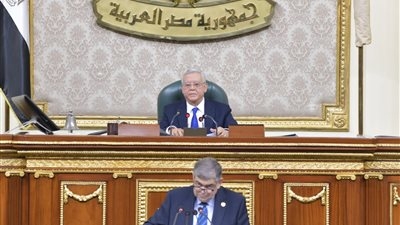 نواب التنسيقية يؤكدون ضرورة تخفيف الغرامة في عقوبة الخطأ الطبي العادي بمشروع قانون المسئولية الطبية