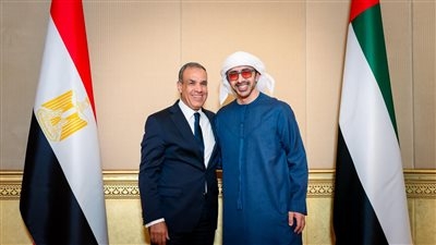 وزيرا خارجية مصر والإمارات يناقشان الخطة العربية لإعادة إعمار قطاع غزة