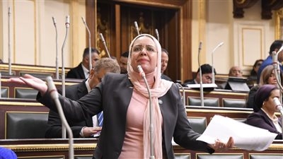 النائبة ريهام عبد النبي: الديون الحكومية تجاوزت 11.5 تريليون جنيه.. والمستقبل أمام الشباب غامض
