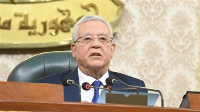 تأكيدا لتحيا مصر.. قوانين الانتخابات وتقسيم الدوائر الخاصة بمجلسي النواب والشيوخ تصل مجلس النواب للمناقشة الأسبوع المقبل