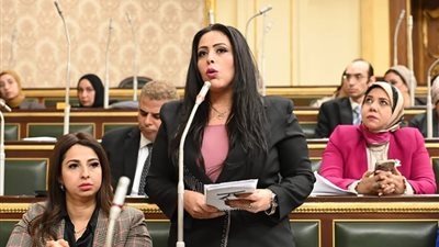 نائبة التنسيقية مرثا محروس: استراتيجية بروتوكول الإنترنت IPv6 خطوة لمستقبل رقمي متكامل