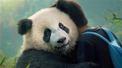 الليلة.. فيلم Moon the Panda في دور العرض المصرية
