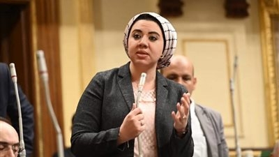 نائبة التنسيقية أميرة صابر تؤكد أهمية اتفاق إنشاء حساب المشروعات مع البنك الأوروبي في تحسين بيئة الأعمال