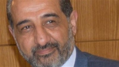النقل الدولي: اقتصادية قناة السويس تغازل الاستثمارات الأجنبية المباشرة