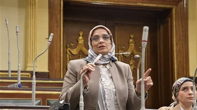 النائبة نجلاء العسيلي عن الإيجار القديم: نحن بحاجة إلى بيانات وصفية دقيقة لا مجرد أرقام، لفهم تركيبة الأسر وظروفها