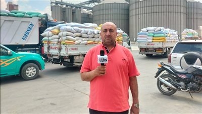 تم استقبال 2444 طن حتى الآن .. المهندس «مصطفي» مدير صومعة ههيا بالشرقية يكشف كيفية استقبال القمح من المزارعين وتخزينه