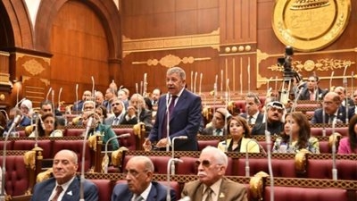 السفير عمرو حلمي: اتفاقية الأمم المتحدة لمكافحة الجريمة السيبرانية تعزز أمن الدول النامية وتسد الفجوة الرقمية