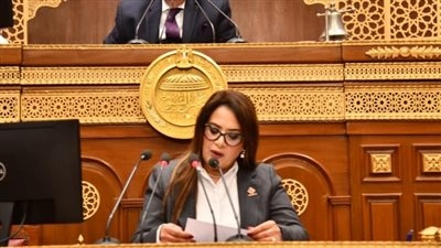 النائبة راجية الفقي تستعرض طلبها أمام الجلسة العامة بشأن  جهود وزارة الاتصالات لتمكين شركات الأمن السيبراني الناشئة