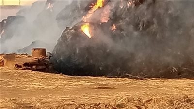 ضمن سلسة حرائق الغربية.. اندلاع حريق في بمدرسة ناصر الزراعية للتعليم الفني بطنطا