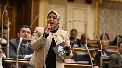 نائبة التنسيقية هيام الطباخ: قانون تنظيم الفتوى يضع حداً لفوضى الفتاوى ويعزز المرجعية الدينية الرسمية