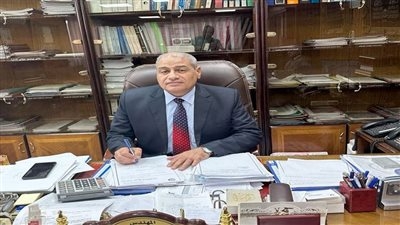 رئيس شركة شمال القاهرة  في حوار لتحيا مصر:لا نسمح لأي شخص باستخدام الكهرباء بطريقة غير مشروعة وهدفنا  مكافحة الفساد