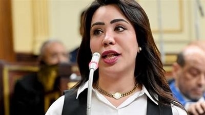 مجلس النواب يوافق على مقترح "نائبة التنسيقية "غادة على بتعديل المادة الأولى بقانون "مزاولة الصيدلة"وتؤكد لصالح جميع خريجي الصيدلة