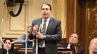لحماية المواطنين .. النائب أيمن أبو العلا يطالب بسرعة إصدار لائحة قانون تنظيم الإعلان عن المنتجات الصحية
