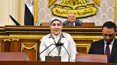 النائبة هالة أبو السعد: تطور المنظومة الصحية في مصر تجاوز الـ 200% ونحتاج إلى مضاعفة الموازنة