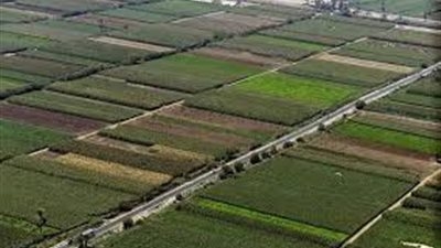 يهدف لزيادة الأمن الغذائي.. تفاصيل مشروع الاستثمارات الزراعية المستدامة"سيل"