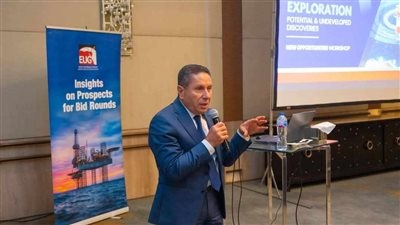 فرص واعدة على خريطة الاستثمار.. بوابة مصر للاستكشاف تنظّم ورشة عمل لتعزيز جذب الاستثمارات