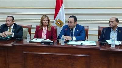 منارة لصقل المهارات ..شباب النواب توافق علي الموازنة الجديدة الأكاديمية الوطنية للتدريب