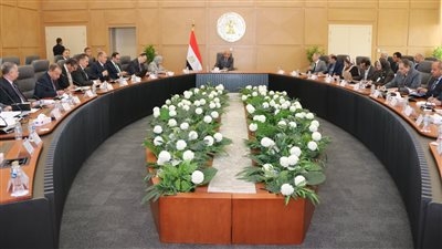 جنوب القاهرة لتوزيع الكهرباء تكسر سرقات التيار