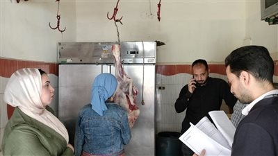 ضبط 500 كجم من الأسماك واللحوم مجهولة المصدر بكفر الشيخ