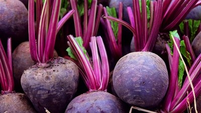مضاد للسرطان.. فوائد البنجر للتخلص من الأمراض المزمنة