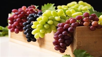 لزيادة الإنتاجية محصول العنب..اعرف التوصيات الواجب عليك اتباعها