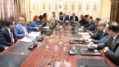 يوليو المقبل.. زيادة 25 % على نسبة العلاوة دورية للموظفين "المخاطبين وغيره" وفقاً للقانون الجديد