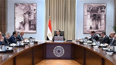 رئيس الوزراء يتابع الموقف التنفيذي لتطوير المنظومة الجمركية وإجراءات التسجيل المسبق للشحنات