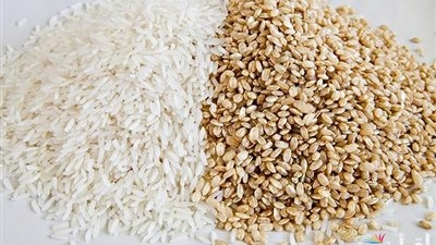 بكام الطن؟.. أسعار الأرز والسلع الأساسية اليوم الإثنين 19 مايو في الأسواق المصرية