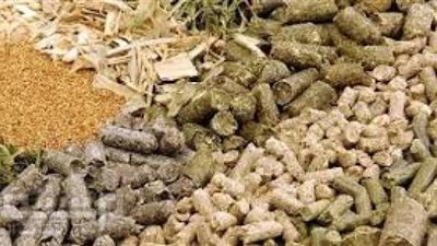 الردة بكام؟.. أسعار الأعلاف اليوم الثلاثاء 20 مايو 2025
