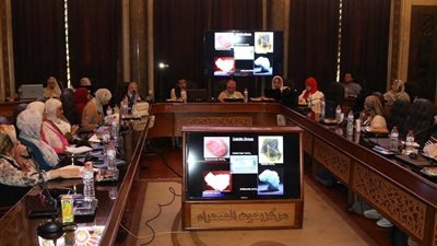 «بحوث الصحراء»: مشروع تقييم آثار التغيرات المناخية يهدف لإعداد خريطة قومية لمخاطر السيول في مصر