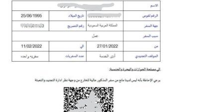 لتسهيل الخدمات الحكومية.. خطوات استخراج تصريح السفر الإلكتروني 2025
